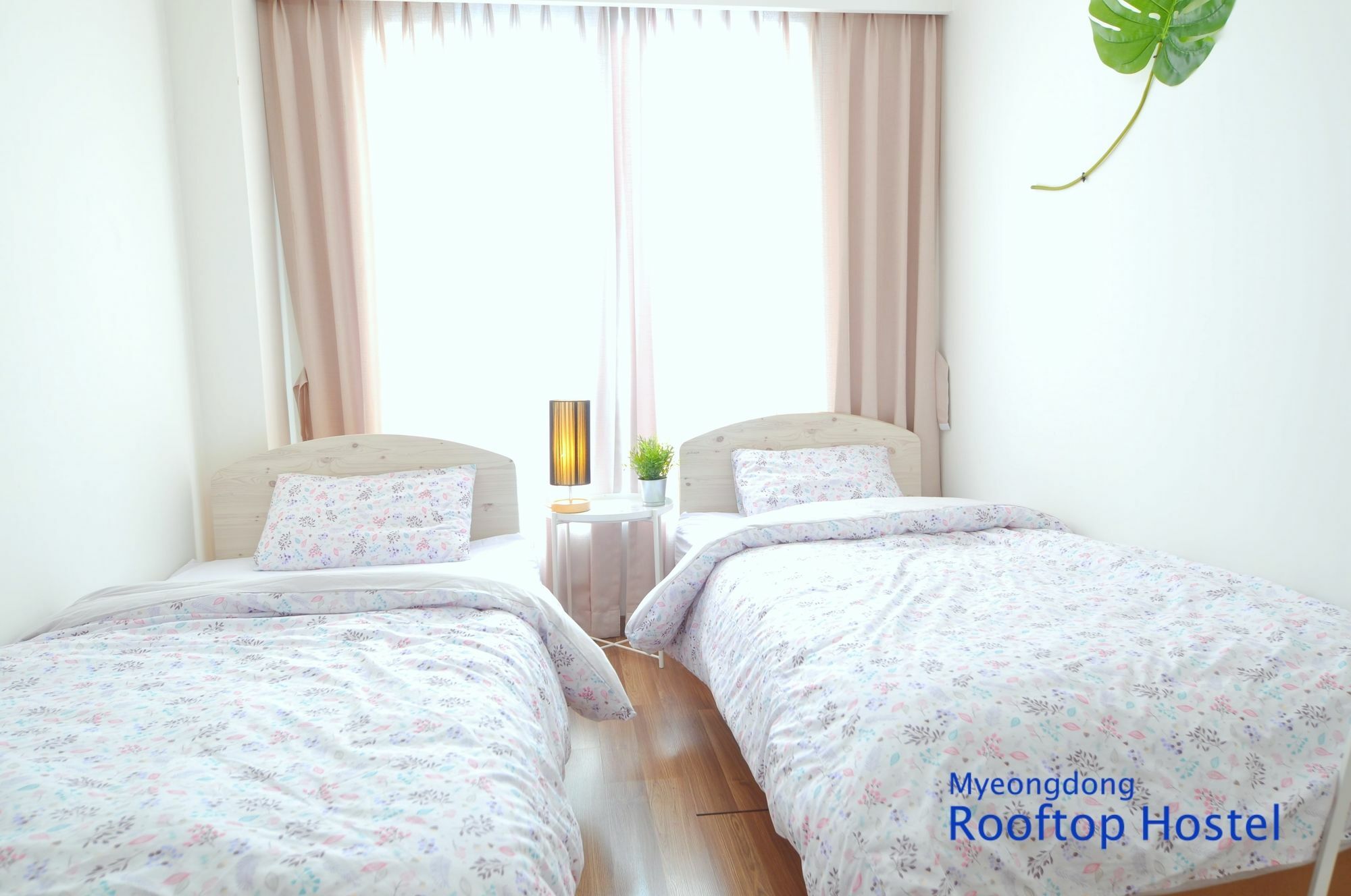 Myeongdong Rooftop Hostel Seul Exterior foto