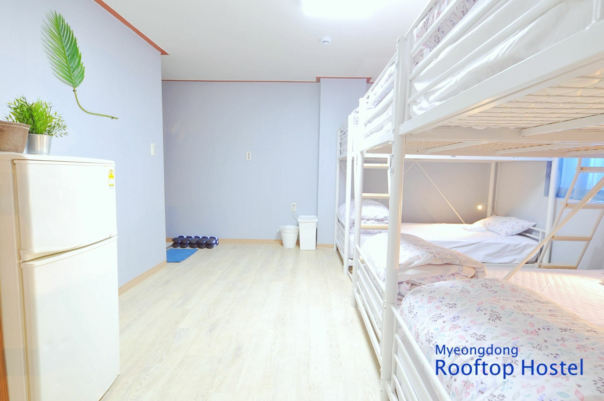 Myeongdong Rooftop Hostel Seul Exterior foto